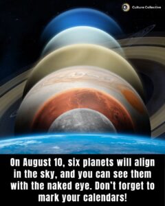 Alignment