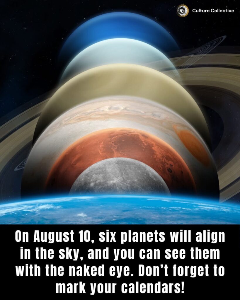 Alignment